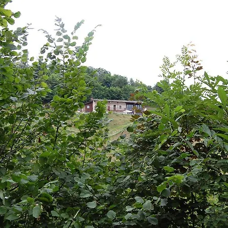 Apartamento Sere Di Sosta *