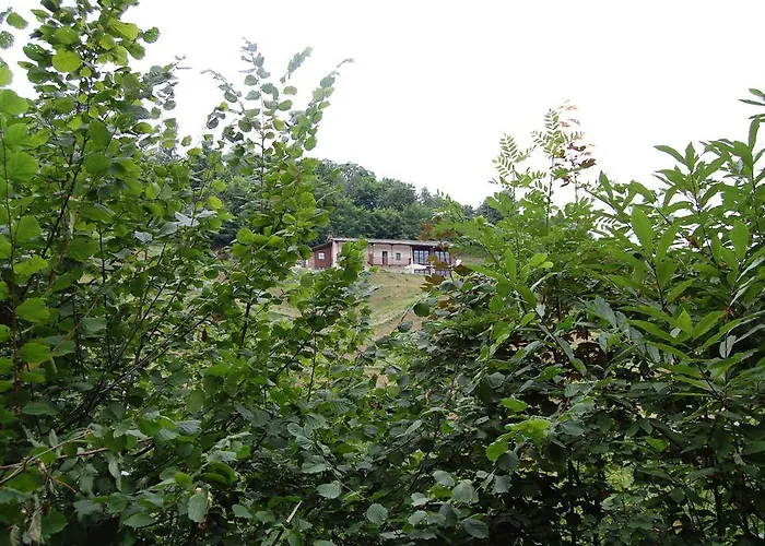 Apartamento Sere Di Sosta *